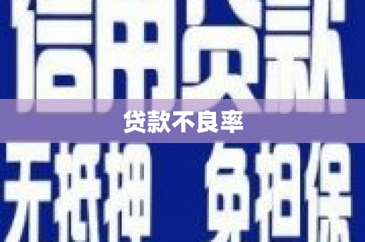 仁布贷款不良率