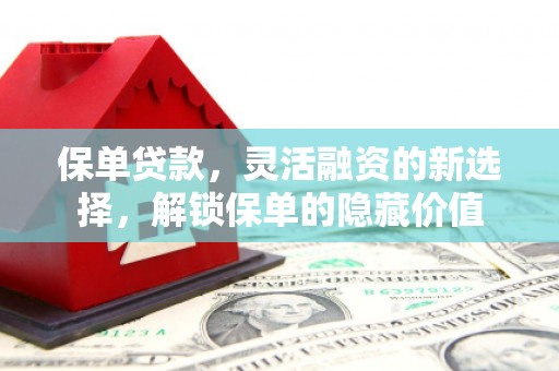 仁布保单贷款，灵活融资的新选择，解锁保单的隐藏价值