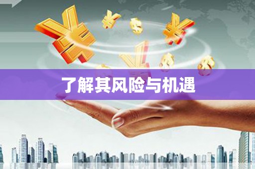 仁布了解其风险与机遇