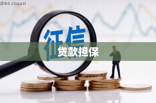 仁布贷款担保