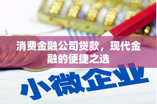 仁布消费金融公司贷款，现代金融的便捷之选