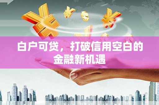 仁布白户可贷，打破信用空白的金融新机遇