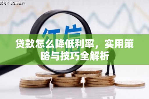 仁布贷款怎么降低利率，实用策略与技巧全解析
