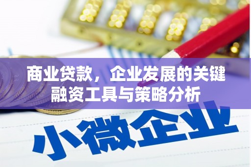仁布商业贷款，企业发展的关键融资工具与策略分析