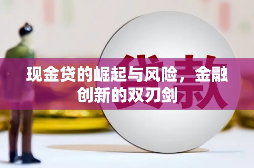 仁布现金贷的崛起与风险，金融创新的双刃剑