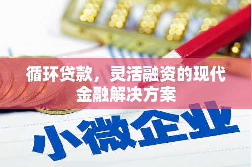 仁布循环贷款，灵活融资的现代金融解决方案