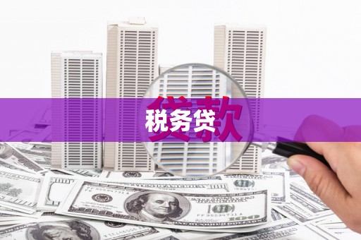 仁布税务贷