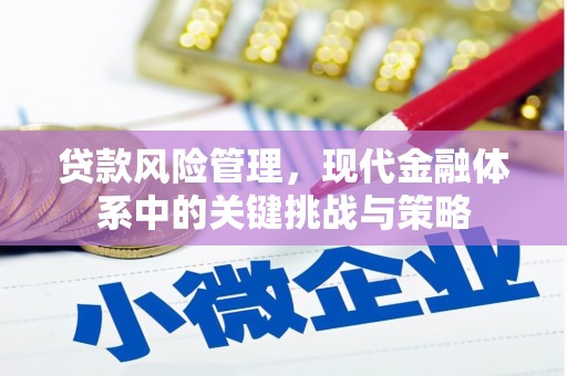 仁布贷款风险管理，现代金融体系中的关键挑战与策略