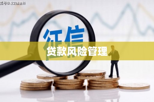 仁布贷款风险管理