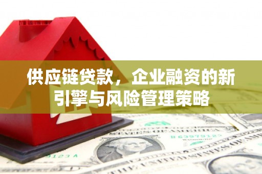 仁布供应链贷款，企业融资的新引擎与风险管理策略