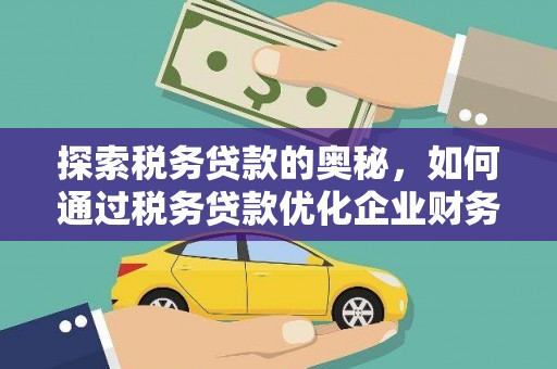 仁布探索税务贷款的奥秘，如何通过税务贷款优化企业财务