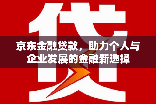 仁布京东金融贷款，助力个人与企业发展的金融新选择