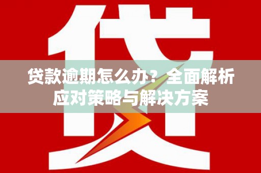 仁布贷款逾期怎么办？全面解析应对策略与解决方案