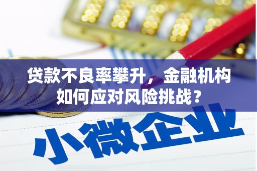 仁布贷款不良率攀升，金融机构如何应对风险挑战？