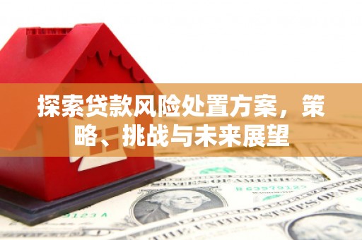 仁布探索贷款风险处置方案，策略、挑战与未来展望