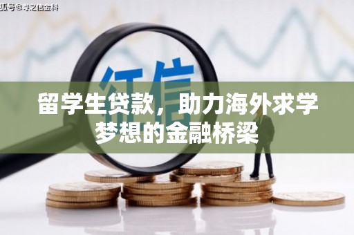 仁布留学生贷款，助力海外求学梦想的金融桥梁