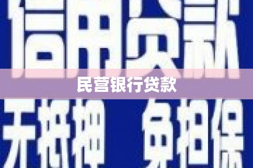 仁布民营银行贷款