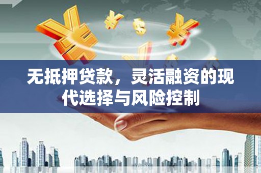 仁布无抵押贷款，灵活融资的现代选择与风险控制