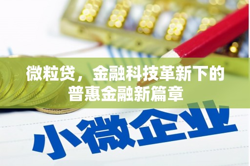 仁布微粒贷，金融科技革新下的普惠金融新篇章
