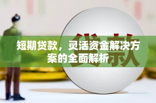 仁布短期贷款，灵活资金解决方案的全面解析