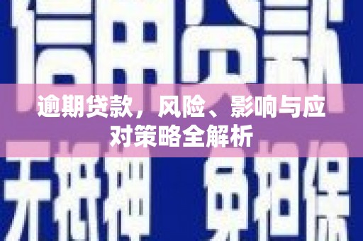 仁布逾期贷款，风险、影响与应对策略全解析
