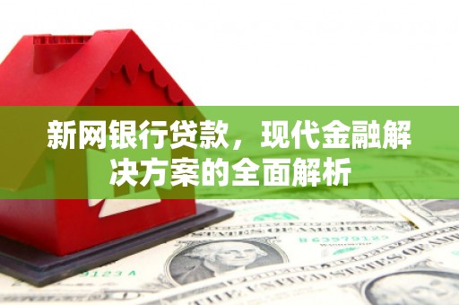 仁布新网银行贷款，现代金融解决方案的全面解析