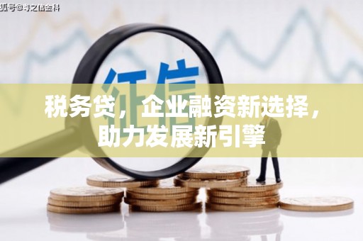 仁布税务贷，企业融资新选择，助力发展新引擎