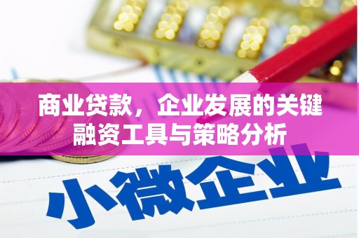 仁布商业贷款，企业发展的关键融资工具与策略分析
