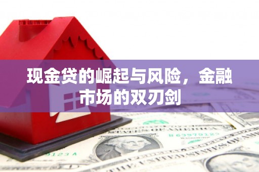 仁布现金贷的崛起与风险，金融市场的双刃剑