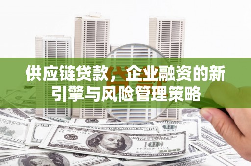 仁布供应链贷款，企业融资的新引擎与风险管理策略