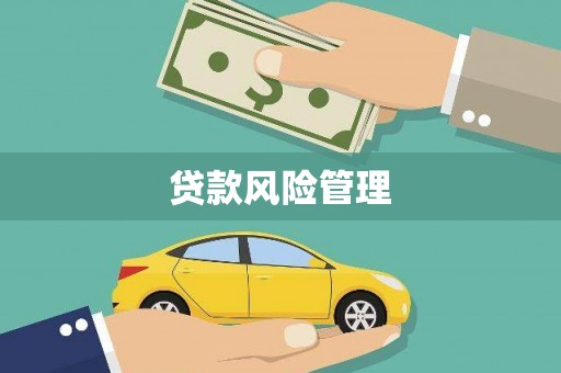 仁布贷款风险管理