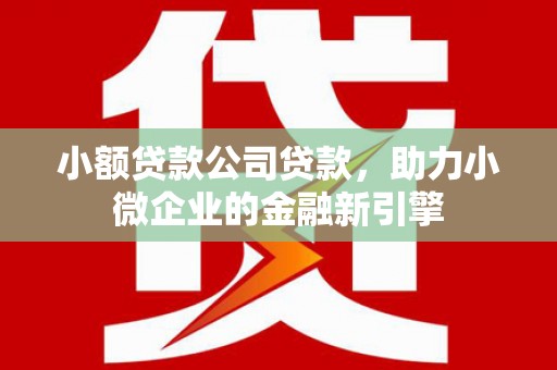 仁布小额贷款公司贷款，助力小微企业的金融新引擎