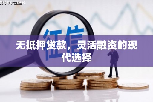 仁布无抵押贷款，灵活融资的现代选择