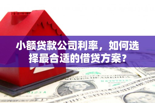 仁布小额贷款公司利率，如何选择最合适的借贷方案？
