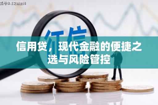 仁布信用贷，现代金融的便捷之选与风险管控
