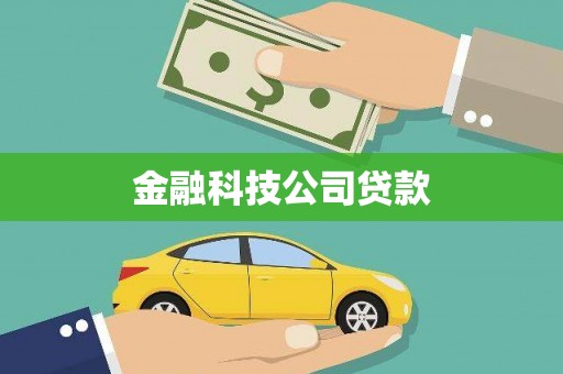 仁布金融科技公司贷款