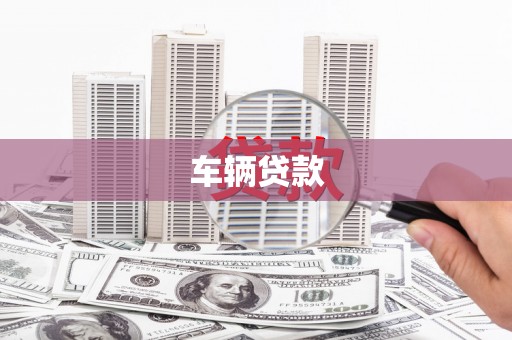 仁布车辆贷款
