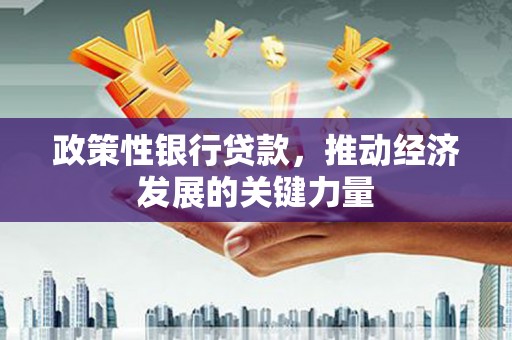仁布政策性银行贷款，推动经济发展的关键力量