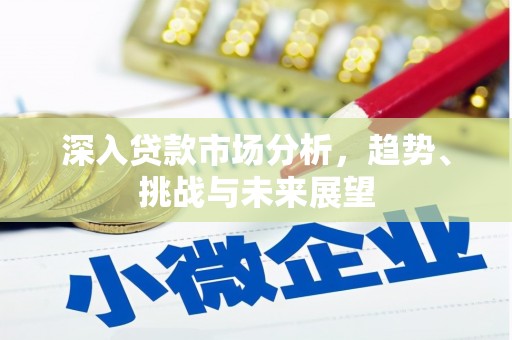 仁布深入贷款市场分析，趋势、挑战与未来展望