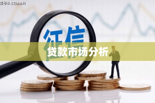 仁布贷款市场分析