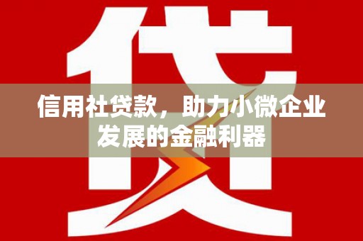 仁布信用社贷款，助力小微企业发展的金融利器