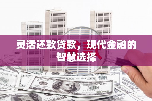 仁布灵活还款贷款，现代金融的智慧选择
