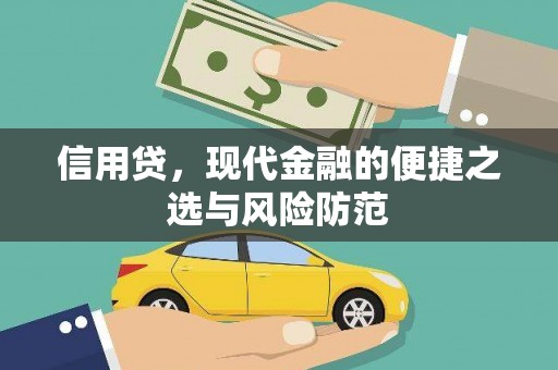 仁布信用贷，现代金融的便捷之选与风险防范