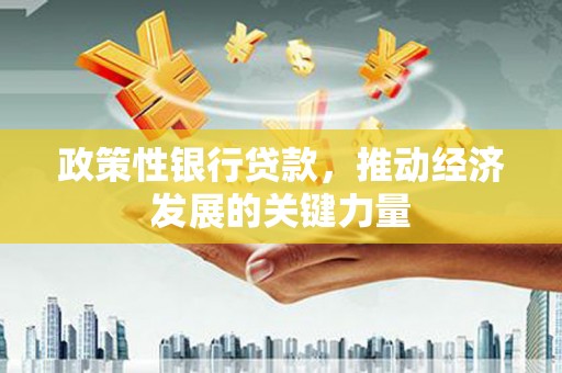 仁布政策性银行贷款，推动经济发展的关键力量
