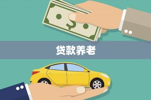 仁布贷款养老