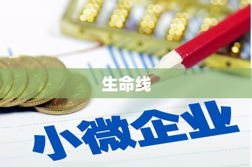 仁布生命线