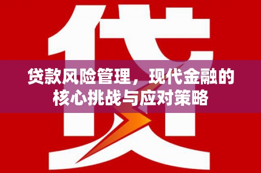 仁布贷款风险管理，现代金融的核心挑战与应对策略
