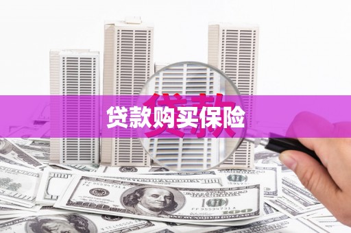 仁布贷款购买保险