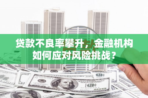 仁布贷款不良率攀升，金融机构如何应对风险挑战？
