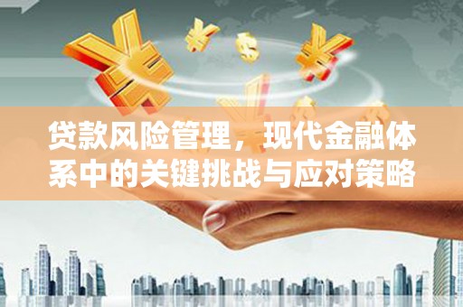 仁布贷款风险管理，现代金融体系中的关键挑战与应对策略